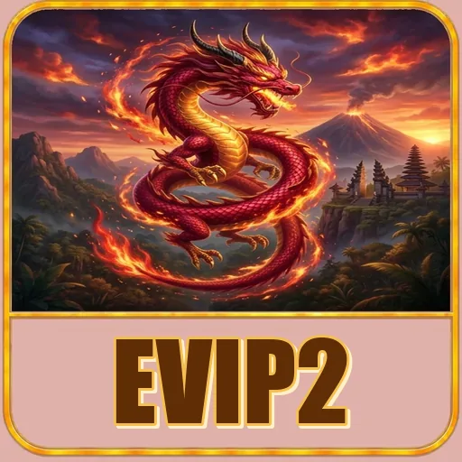 Detail APK evip2
